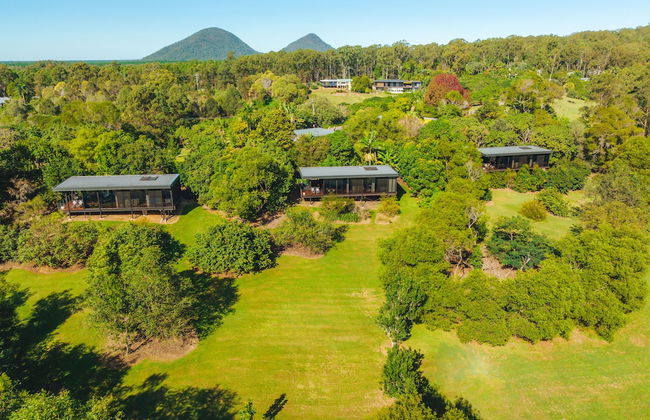 Glass On Glasshouse - Foto 43