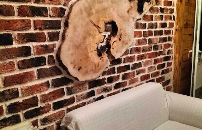 Baran Apart - Foto 48