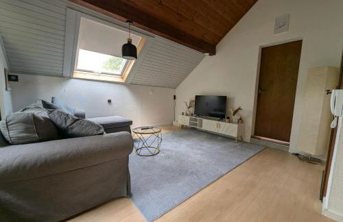 Keltenpfad-Taunus Naturnah - Foto 8