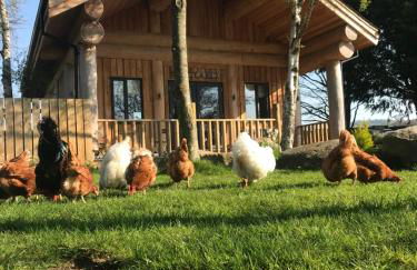 Braisty Woods - Knotty & Nice - Foto 34