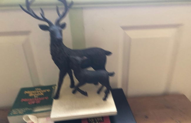 Monument Field South Brent - Foto 67