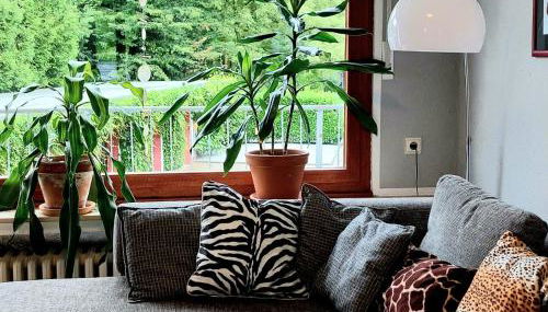 GUESTHOUSE ENNEPETAL - Ferienwohnung im grünen Heilenbecker Tal - Foto 3