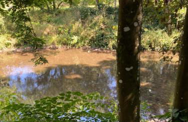 Les pieds dans l eau - Foto 8