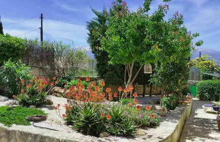 Bay Tree Villa - Main House Almyrida - Foto 24