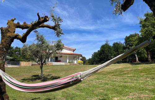 Casa Toupeira - Foto 3