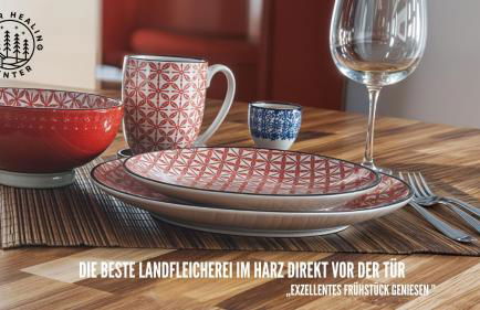 HARZER HEALING CENTER 2024 Gemütliche Landhauswohnung mit Fussbodenheizung,XXL Kochinsel,XXL Regenduschen,Modern,Hochwertig,Persönlich,Vollausgestattet - Foto 6