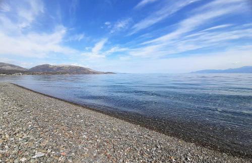 SeaView Backyard - Photo 43