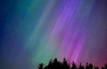 Odli Glamping - Aderyn - Photo 15