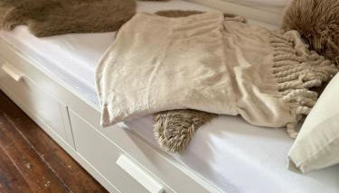 Maries Stadthaus - Foto 3