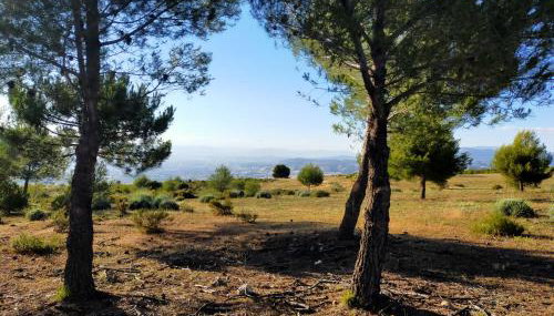 El mirador de Granada - Photo 5