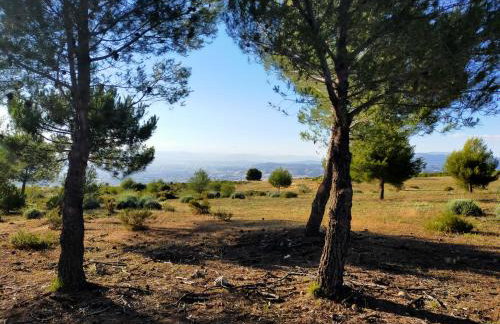 El mirador de Granada - Foto 5