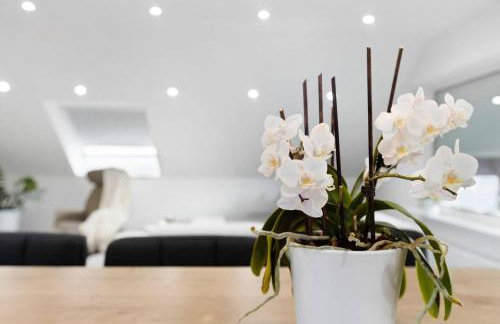 Ferienwohnung BlackForest - Foto 14