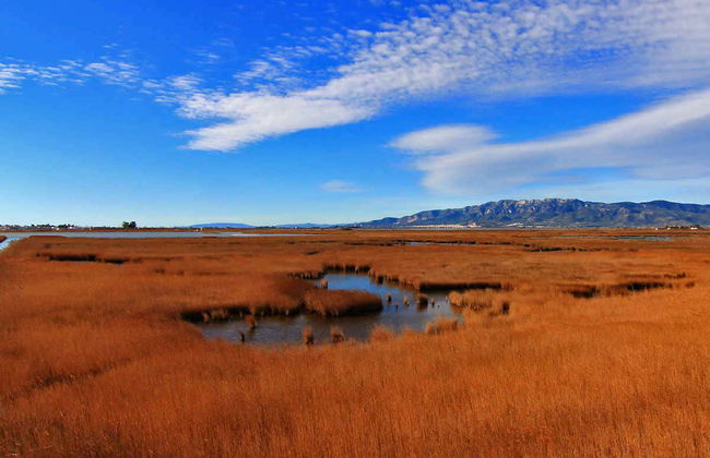 Excursion au Delta de l'Èbre + Balade en catamaran - Photo 1