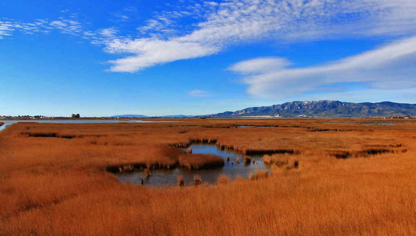Parque Natural del Delta del Ebro