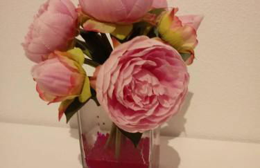 APARTAMENTO BEDIESTA - Foto 25