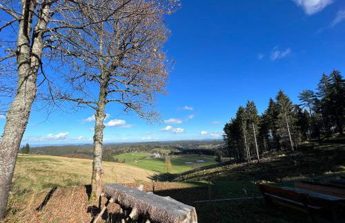 Apartment Schwarzwald-Anni Pool Tennis Sauna - Foto 67