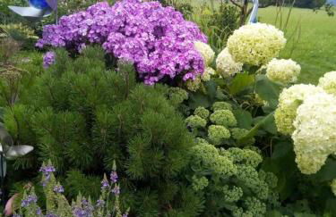 Ferienwohnung Fischerhof - Foto 10