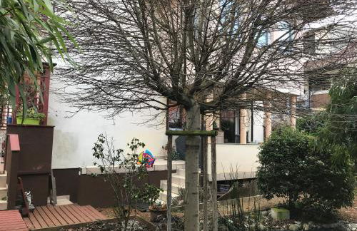 Idyllische und ruhig gelegene 1ZKB Wohnung in Ludwigshafen am Rhein - Photo 11