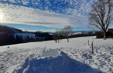Miodowa Chata Pokoje Gościnne - Foto 37