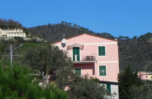 azienda agricola zulin casa elena - Foto 64