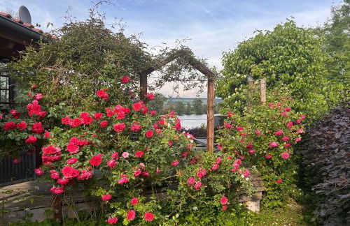 Seehäuschen - Foto 13