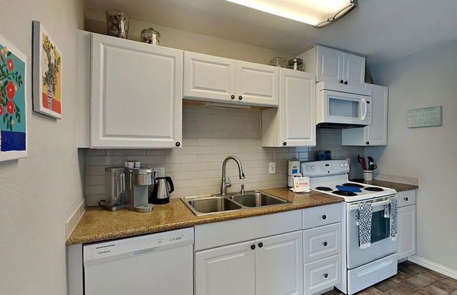 Blue Curlew - Photo 11