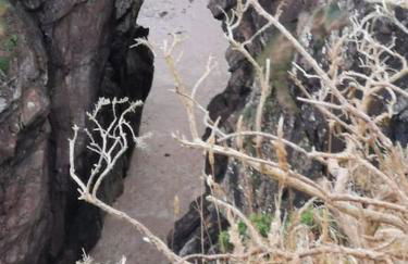 Amazing Cottage & detached Annex sleeps 8, Extra Deep Hot tub, Super Fast wifi, New for 2024 is the addition of Wood Fired Sauna - Foto 35