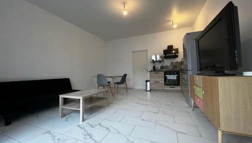 Bel appartement en centre ville de Limoges - Foto 2