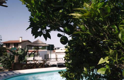 João Jungle - Foto 6