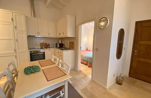 Country House on the Paiva River - Hostiva - Foto 7