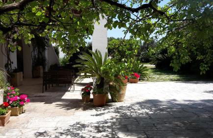 Agriturismo Vignavecchia - Foto 65