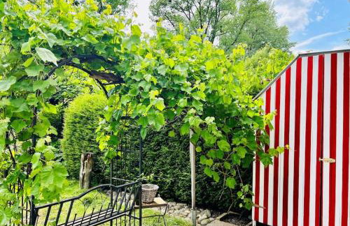 Chiemsee-Hafen_Gemütliche Wohnung am Chiemsee - Photo 9