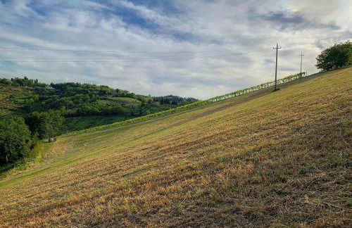Podere Baratta agriturismo e cantina - Foto 24