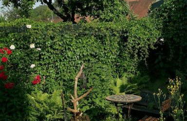 Charmantes Zimmer mit Bad im Stadtzentrum - Foto 6