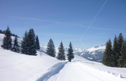 Landhaus Aigner-Vogler - Foto 23