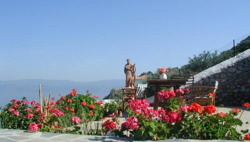 Hydra Erato - Photo 3