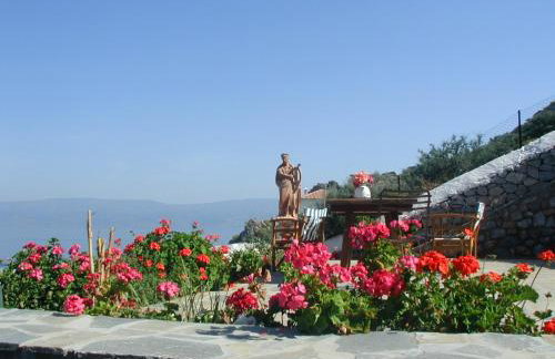 Hydra Erato - Foto 3