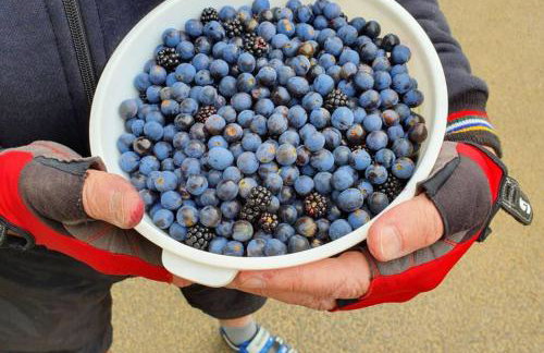 Cotswolds Cottage Ilmington with Wood Burning Stove & BBQ - pet friendly - Foto 34