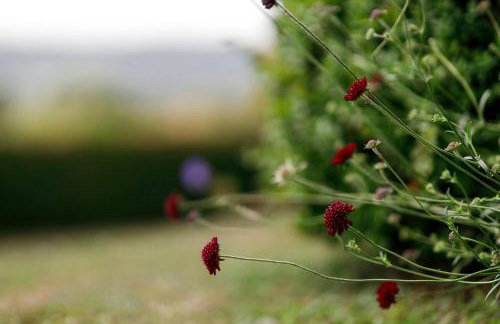 Kingsley Lake View - Foto 51