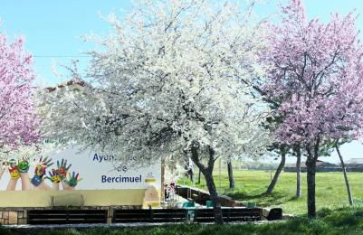 Casa rural ‘’La Nuestra’’ - Foto 61