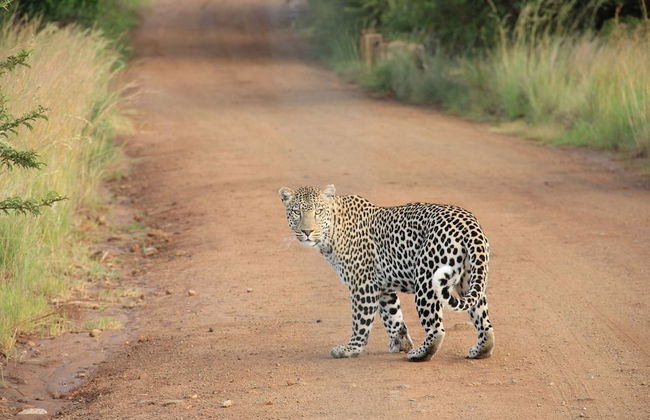 Victoria Lake View Guest House & Safaris - Photo 38