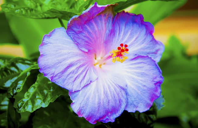 Royal Kahana 318 Studio Bedroom Condo by RedAwning - Foto 59