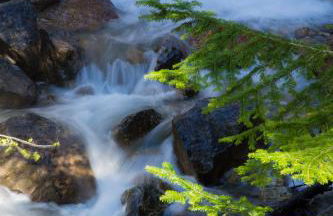 Gites L'épilobe - Foto 21