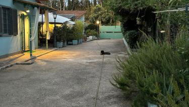 Monolocale Centro Stazione Tiburtina - Foto 5