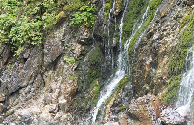 Holiday Apartment Siegsdorf in Bavaria - Foto 27