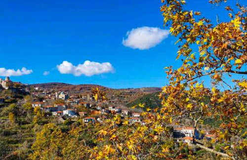 1924 Studios 1 - Photo 41