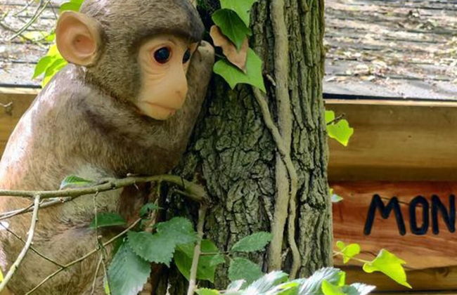 Beautiful 1-bed Cabin in Newmarket - Foto 24