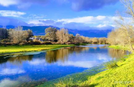 Tu Casa de Pueblo - Photo 13