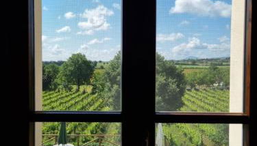 Fornace del Conte - Foto 4