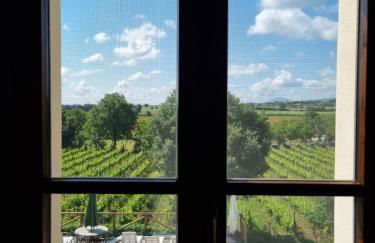 Fornace del Conte - Foto 4